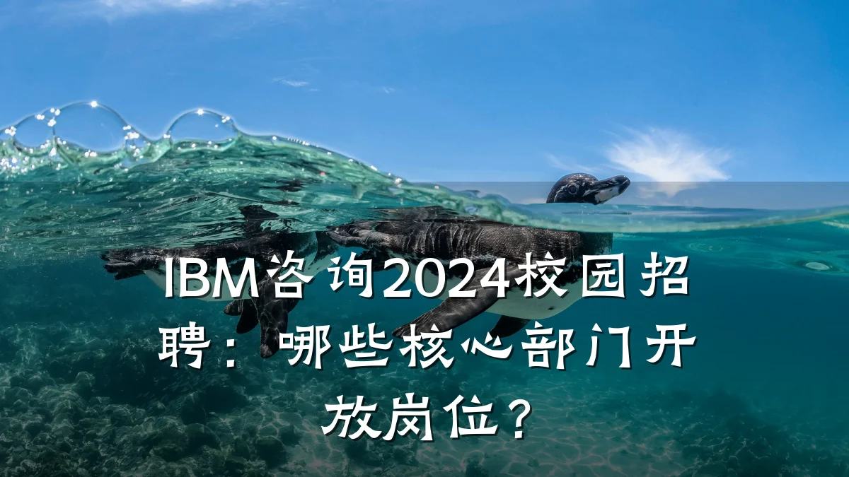IBM咨询2024校园招聘：哪些核心部门开放岗位？