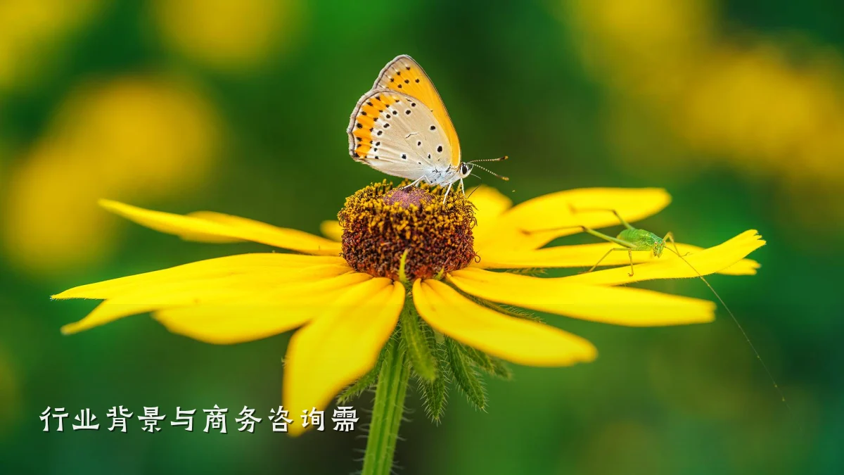 行业背景与商务咨询需