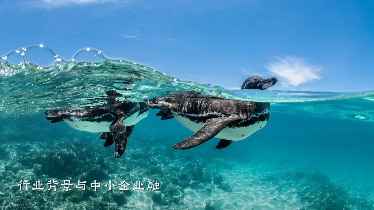 行业背景与中小企业融