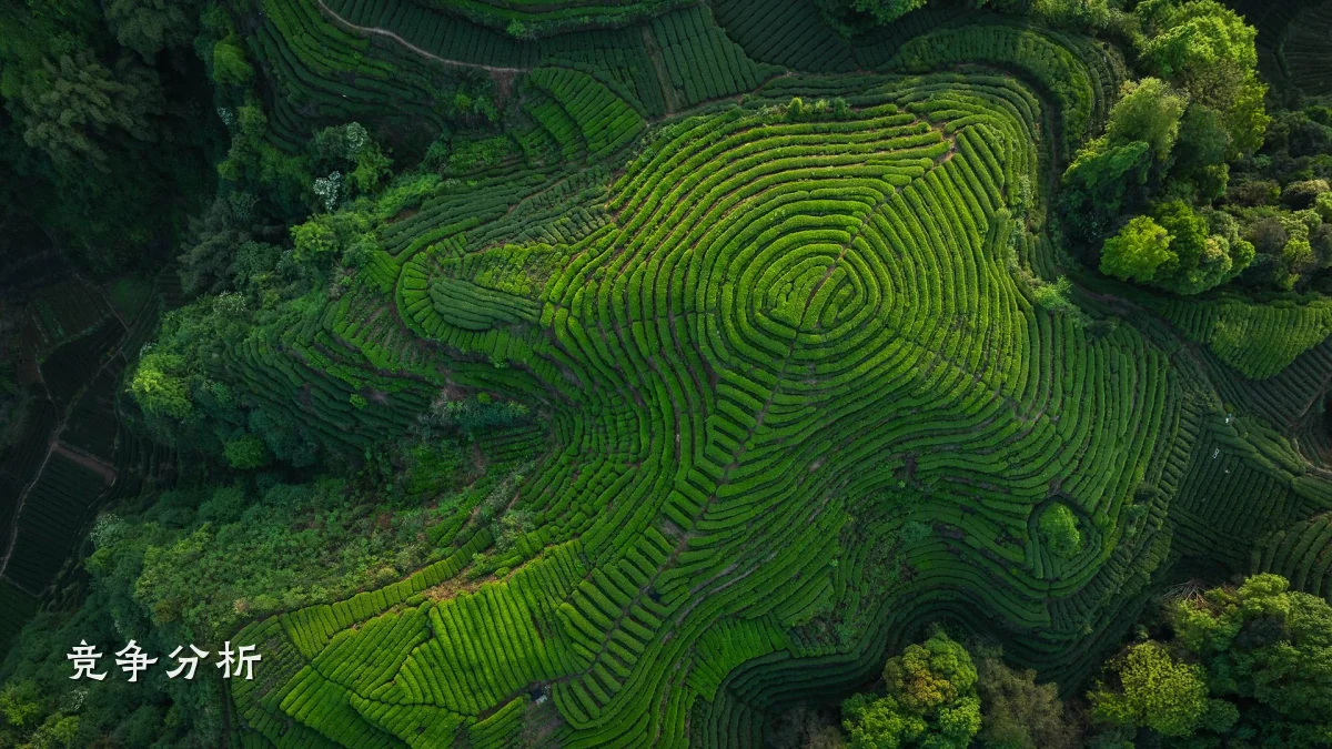 竞争分析