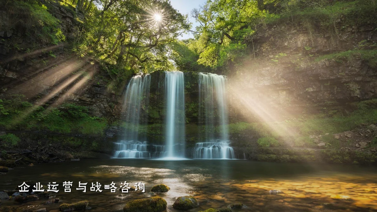 企业运营与战略咨询
