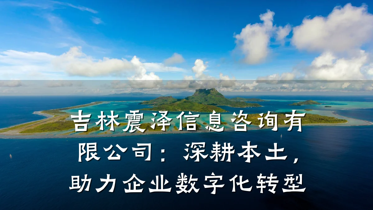 吉林震泽信息咨询有限公司：深耕本土，助力企业数字化转型