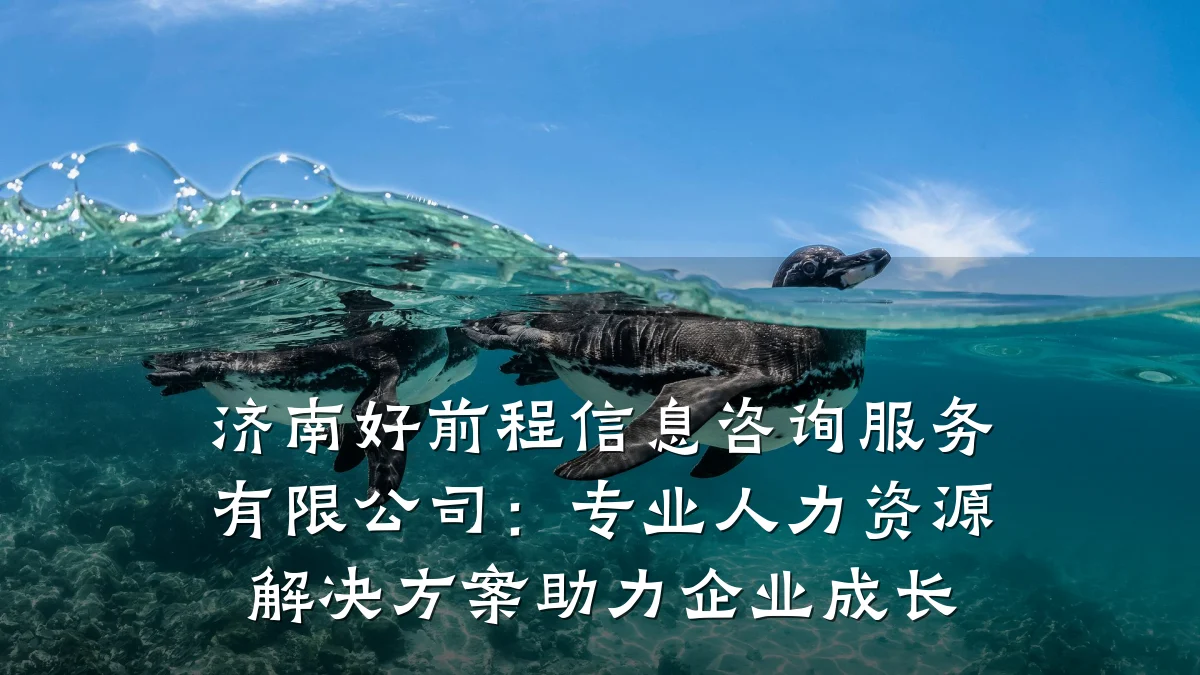 济南好前程信息咨询服务有限公司：专业人力资源解决方案助力企业成长