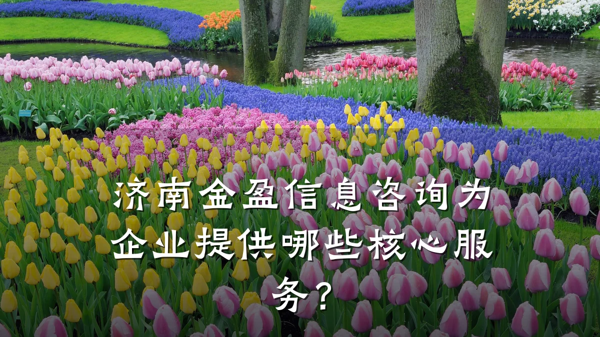 济南金盈信息咨询为企业提供哪些核心服务？