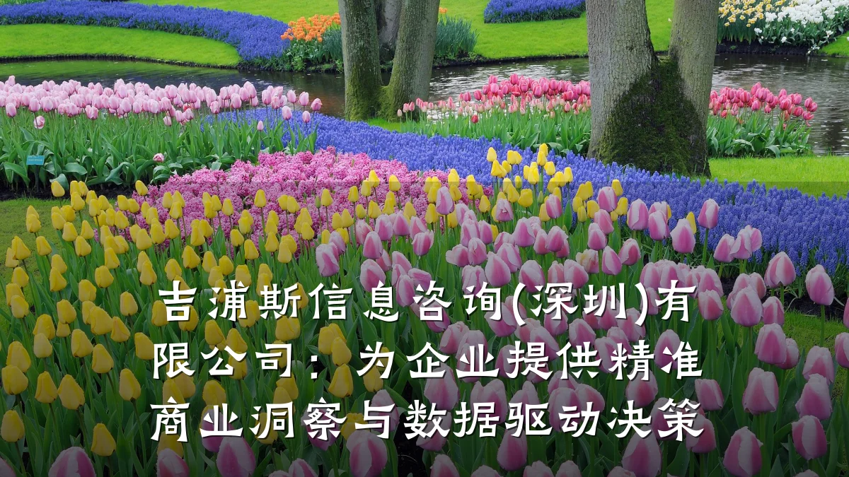 吉浦斯信息咨询(深圳)有限公司：为企业提供精准商业洞察与数据驱动决策