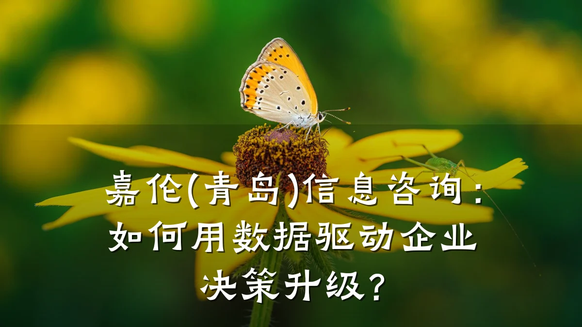 嘉伦(青岛)信息咨询：如何用数据驱动企业决策升级？