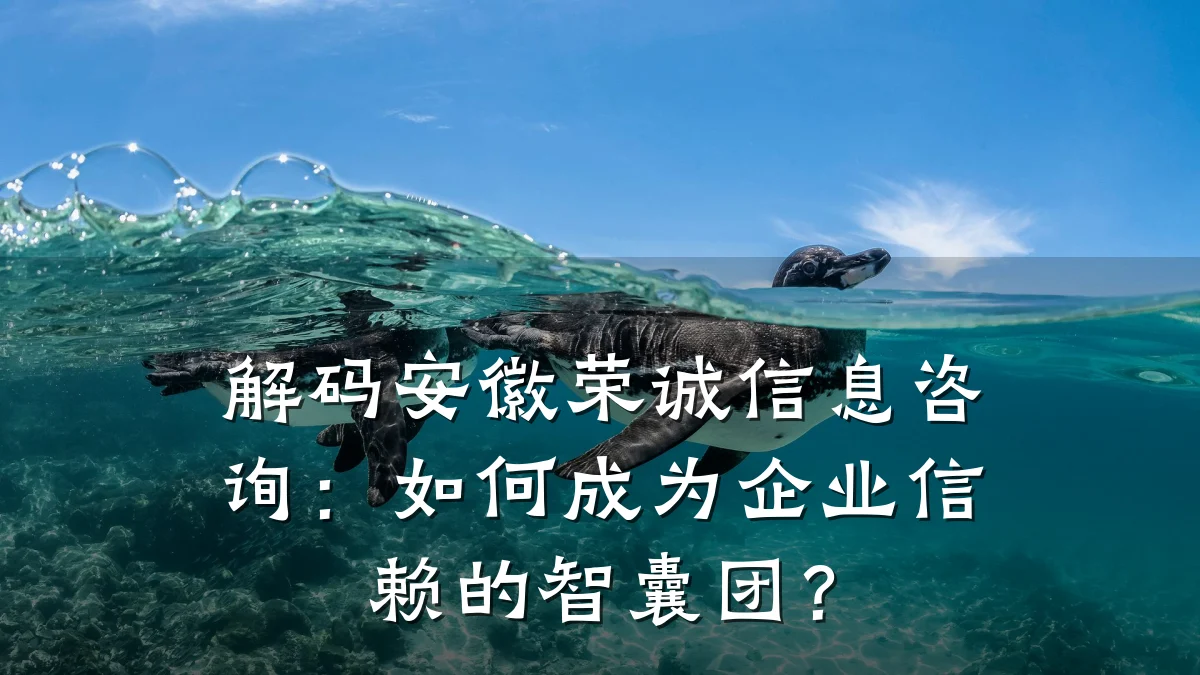 解码安徽荣诚信息咨询：如何成为企业信赖的智囊团？