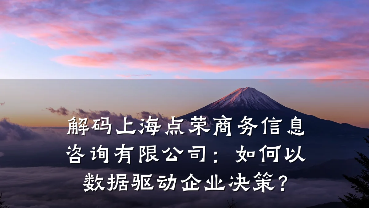 解码上海点荣商务信息咨询有限公司：如何以数据驱动企业决策？