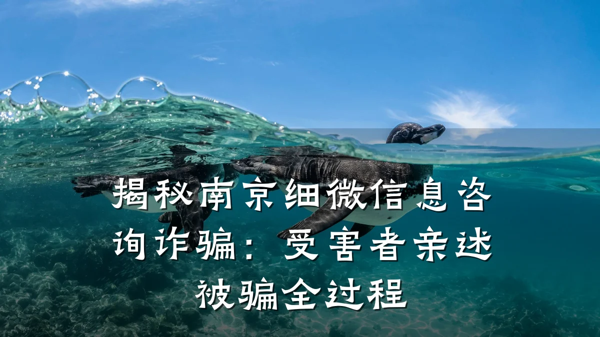 揭秘南京细微信息咨询诈骗：受害者亲述被骗全过程