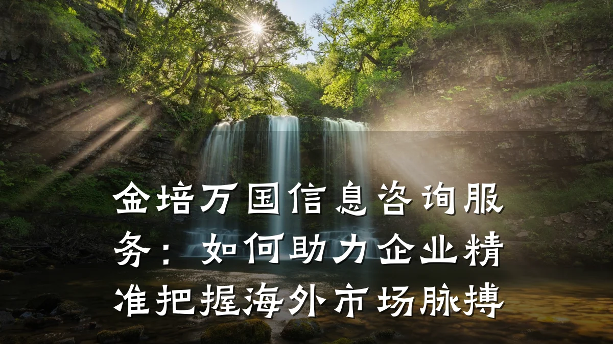 金培万国信息咨询服务：如何助力企业精准把握海外市场脉搏