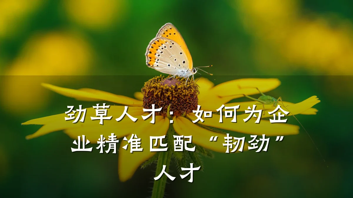 劲草人才：如何为企业精准匹配“韧劲”人才