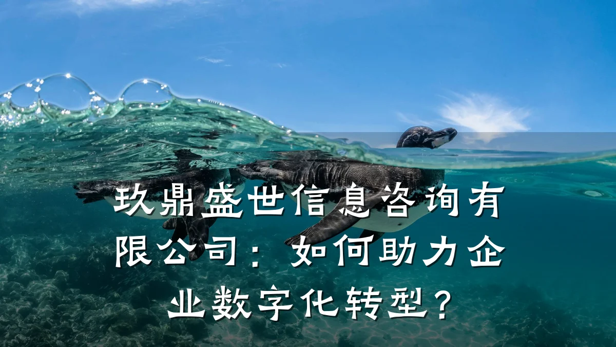玖鼎盛世信息咨询有限公司：如何助力企业数字化转型？