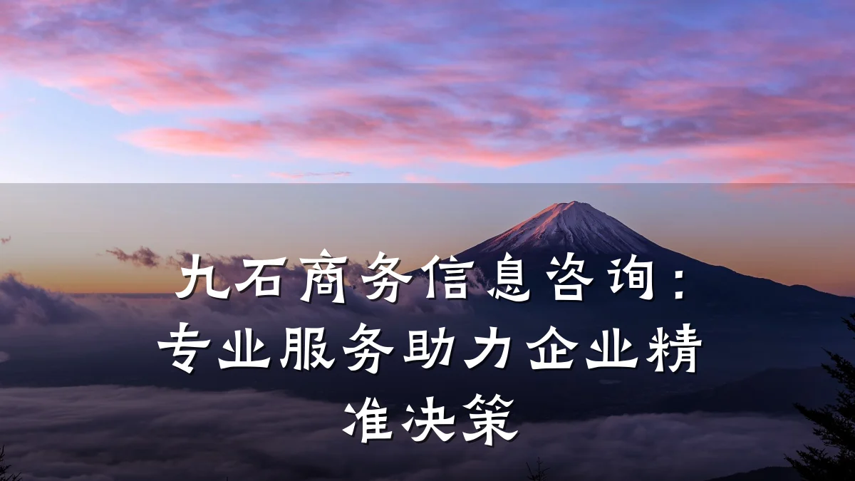 九石商务信息咨询：专业服务助力企业精准决策