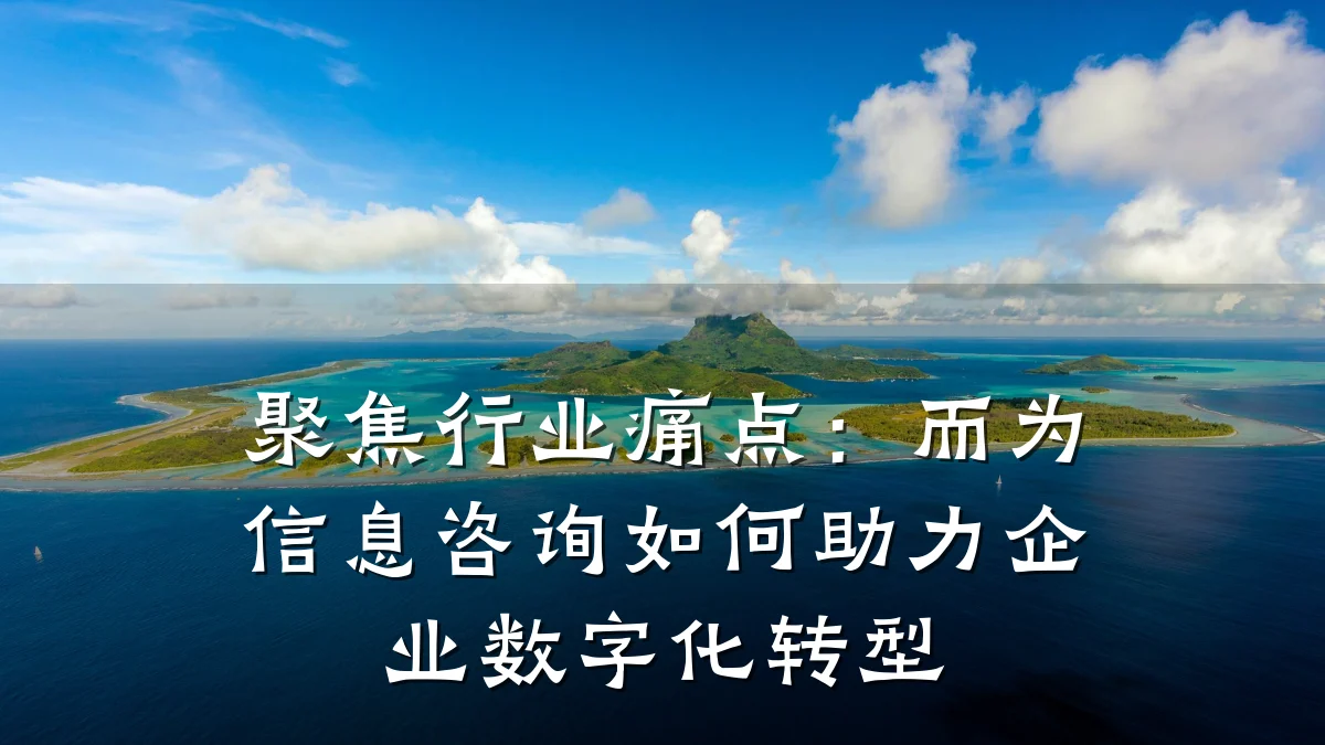 聚焦行业痛点：而为信息咨询如何助力企业数字化转型