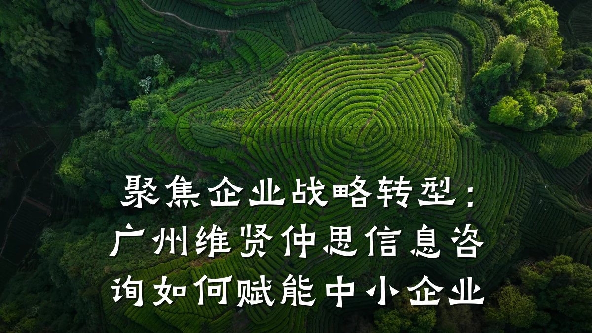 聚焦企业战略转型：广州维贤仲思信息咨询如何赋能中小企业
