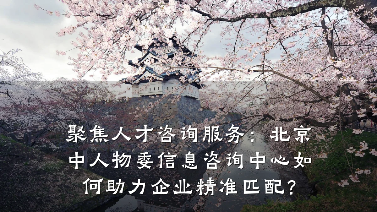 聚焦人才咨询服务：北京中人物委信息咨询中心如何助力企业精准匹配？