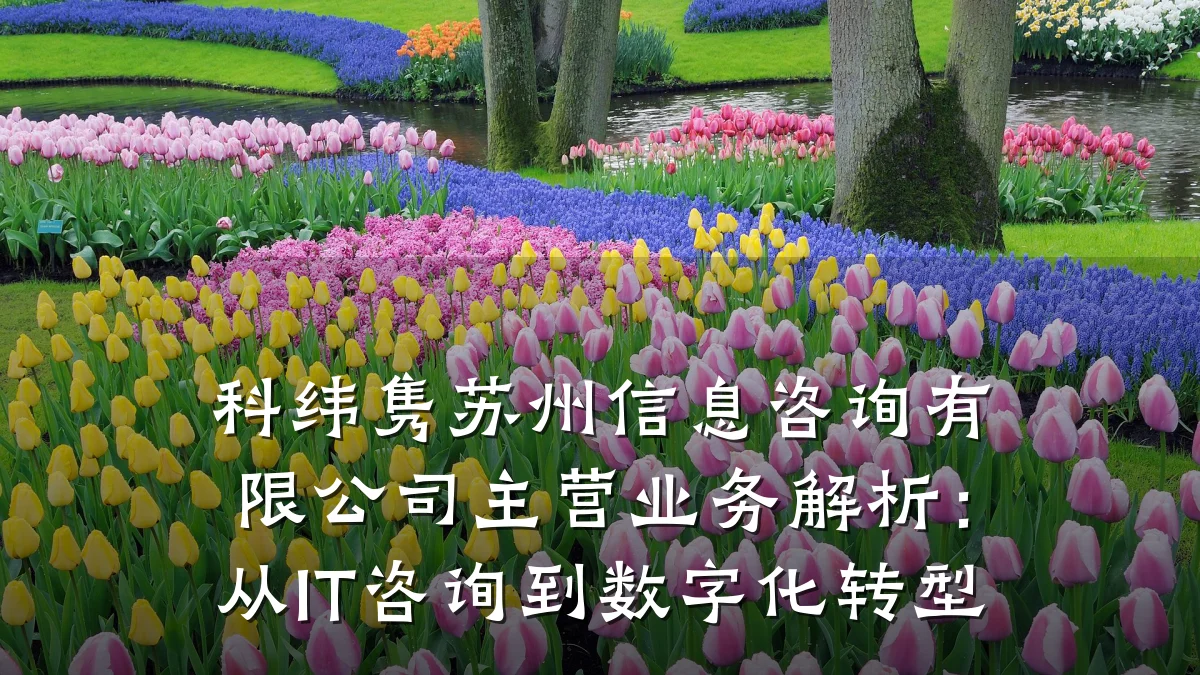 科纬隽苏州信息咨询有限公司主营业务解析：从IT咨询到数字化转型
