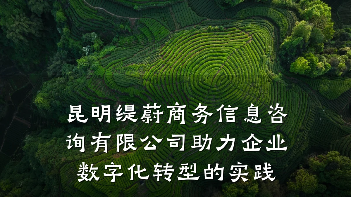 昆明缇蔚商务信息咨询有限公司助力企业数字化转型的实践