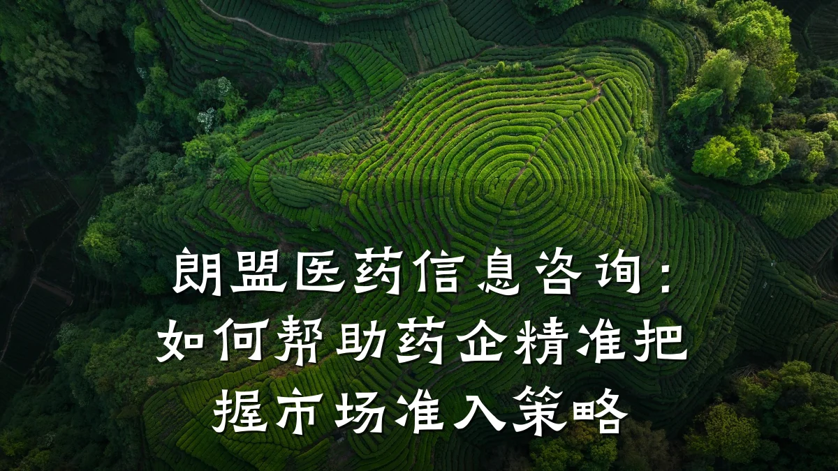 朗盟医药信息咨询：如何帮助药企精准把握市场准入策略