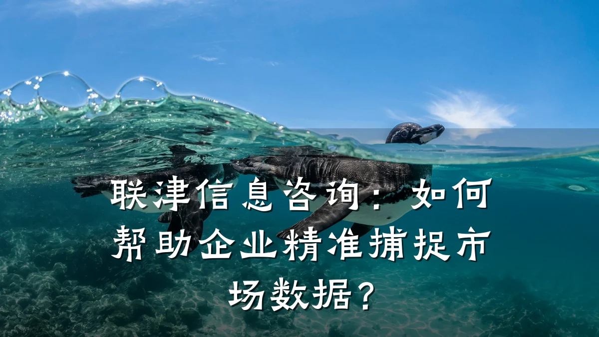 联津信息咨询：如何帮助企业精准捕捉市场数据？