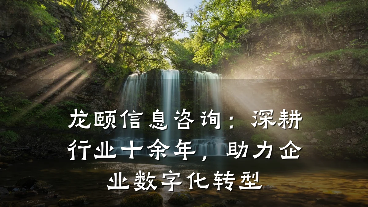 龙颐信息咨询：深耕行业十余年，助力企业数字化转型