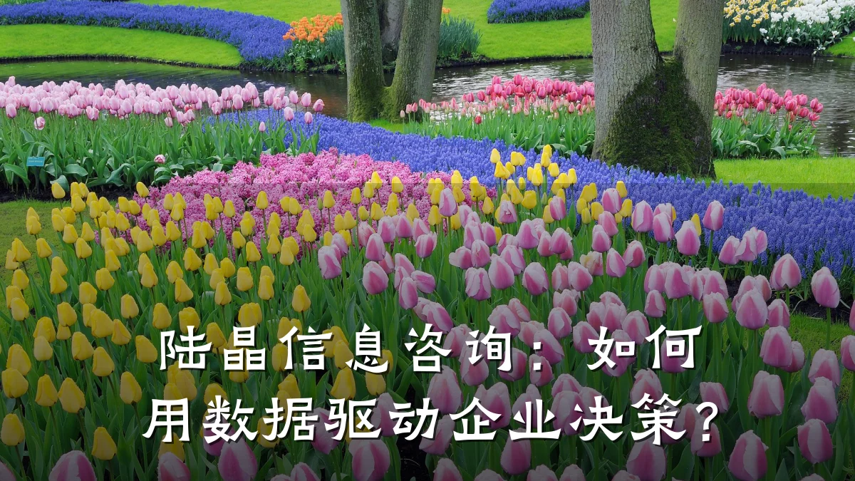 陆晶信息咨询：如何用数据驱动企业决策？