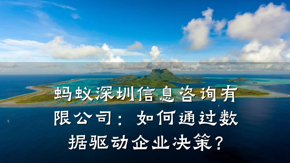 蚂蚁深圳信息咨询有限公司：如何通过数据驱动企业决策？