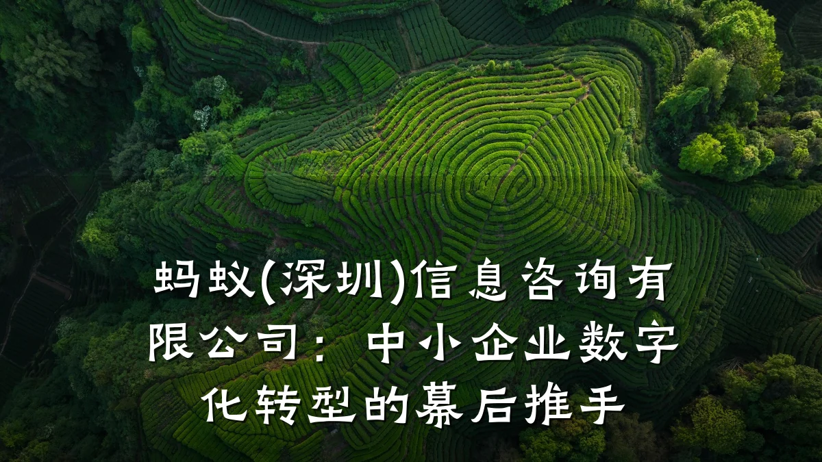 蚂蚁(深圳)信息咨询有限公司：中小企业数字化转型的幕后推手