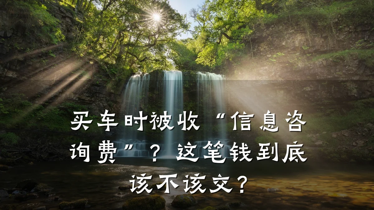 买车时被收“信息咨询费”？这笔钱到底该不该交？
