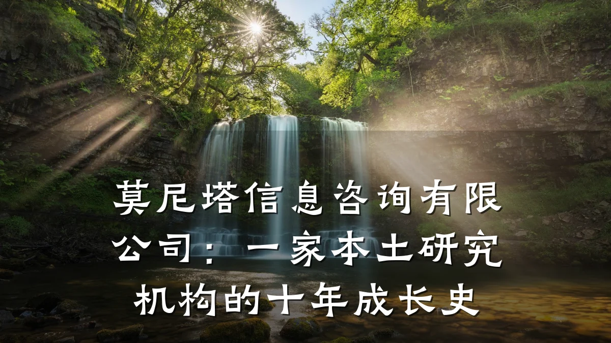 莫尼塔信息咨询有限公司：一家本土研究机构的十年成长史