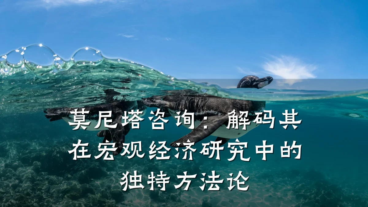莫尼塔咨询：解码其在宏观经济研究中的独特方法论