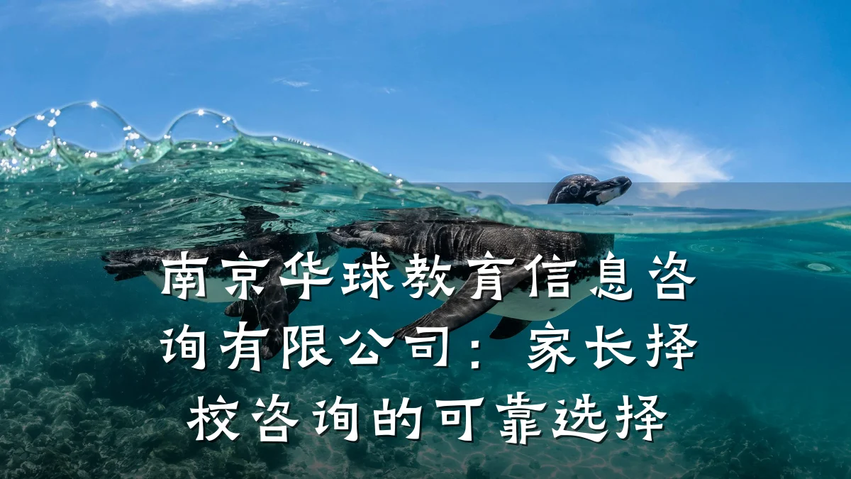 南京华球教育信息咨询有限公司：家长择校咨询的可靠选择