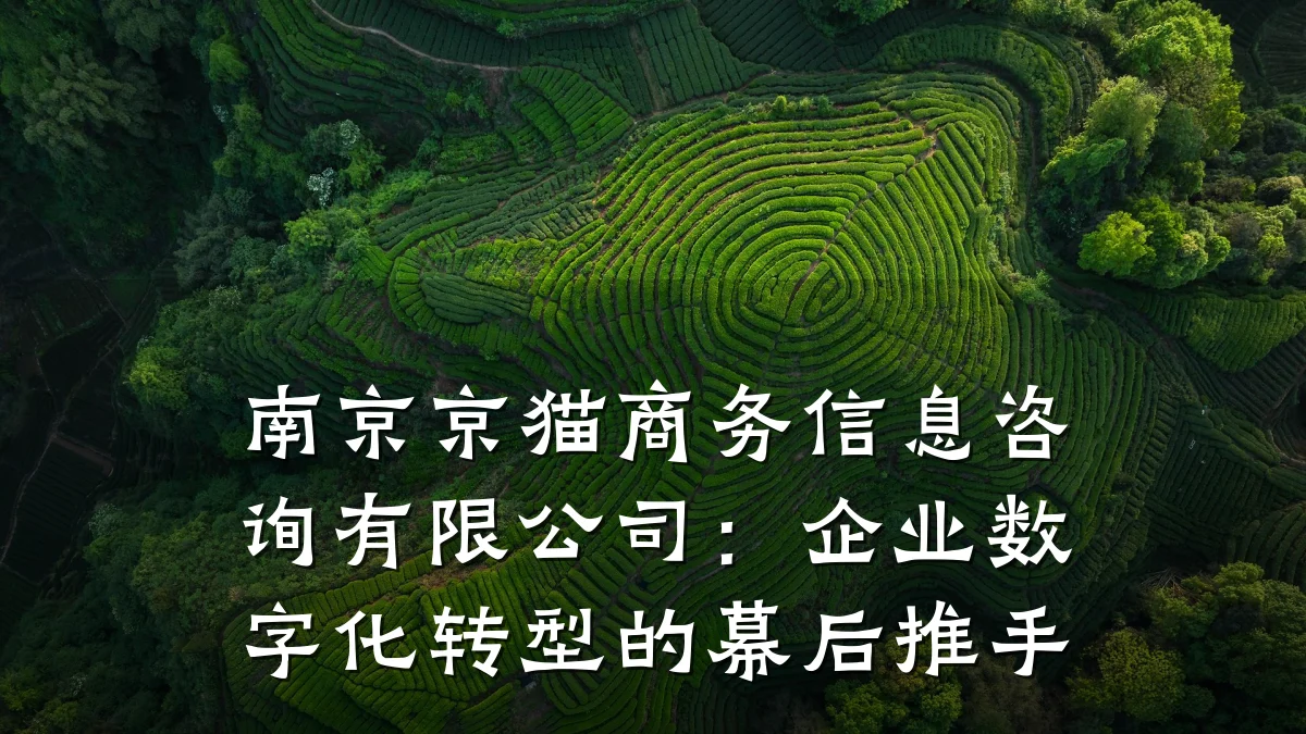 南京京猫商务信息咨询有限公司：企业数字化转型的幕后推手