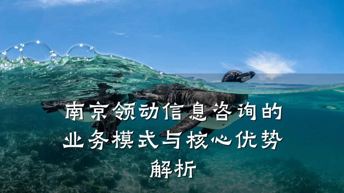 南京领动信息咨询的业务模式与核心优势解析