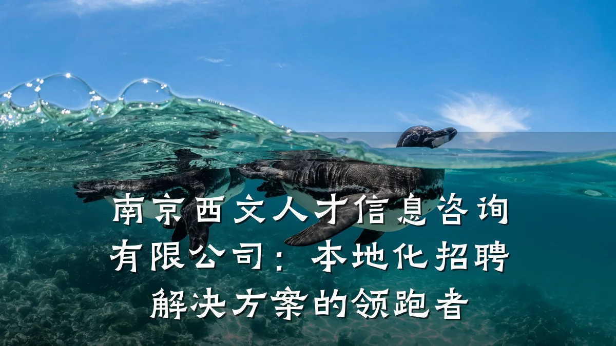 南京西文人才信息咨询有限公司：本地化招聘解决方案的领跑者