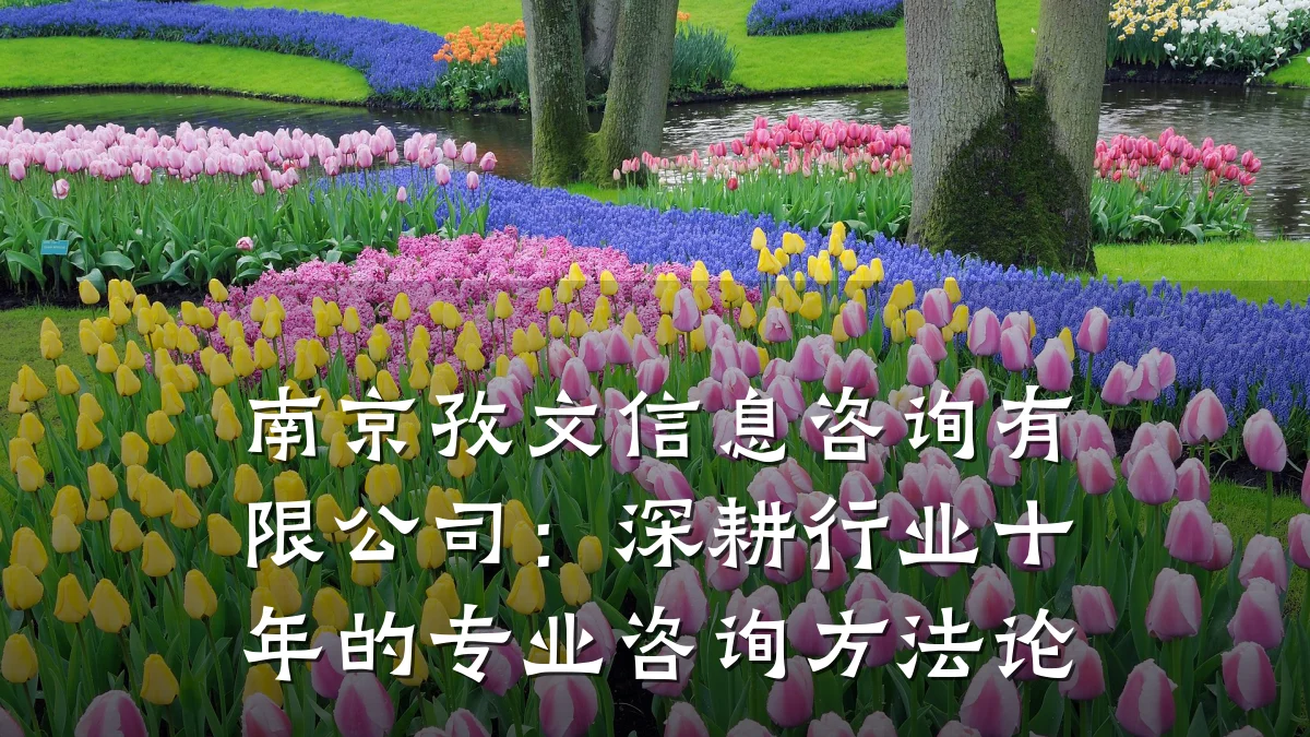 南京孜文信息咨询有限公司：深耕行业十年的专业咨询方法论