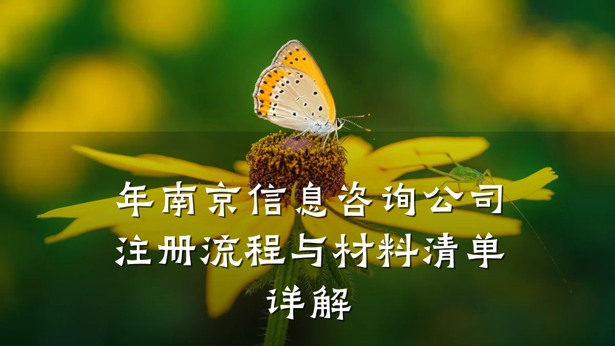 年南京信息咨询公司注册流程与材料清单详解