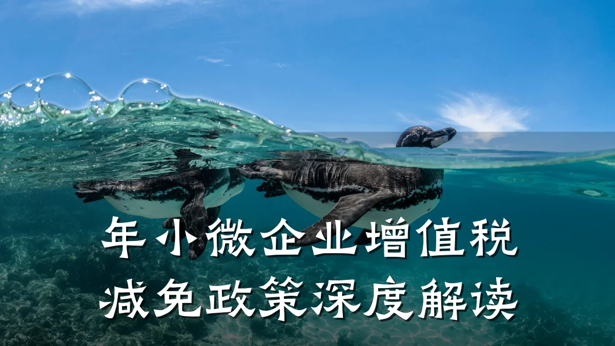 年小微企业增值税减免政策深度解读