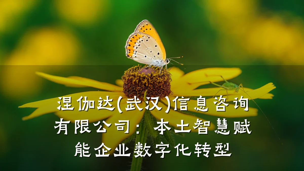 涅伽达(武汉)信息咨询有限公司：本土智慧赋能企业数字化转型