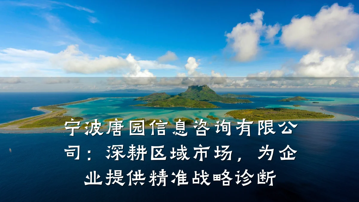 宁波唐园信息咨询有限公司：深耕区域市场，为企业提供精准战略诊断