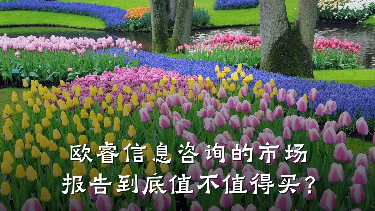 欧睿信息咨询的市场报告到底值不值得买？