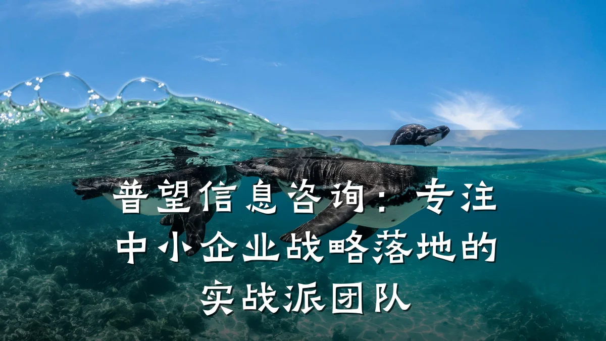 普望信息咨询：专注中小企业战略落地的实战派团队