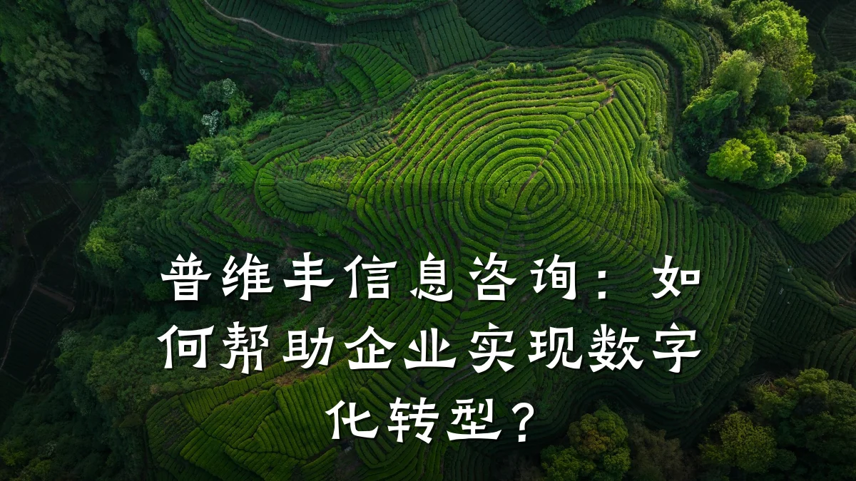 普维丰信息咨询：如何帮助企业实现数字化转型？