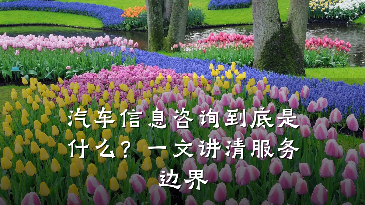 汽车信息咨询到底是什么？一文讲清服务边界