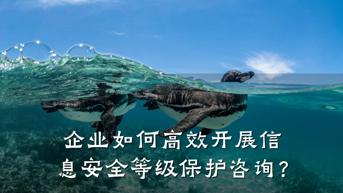 企业如何高效开展信息安全等级保护咨询？