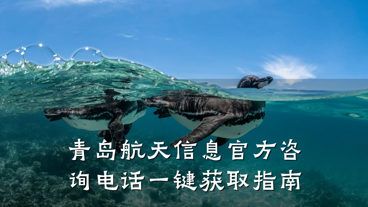 青岛航天信息官方咨询电话一键获取指南