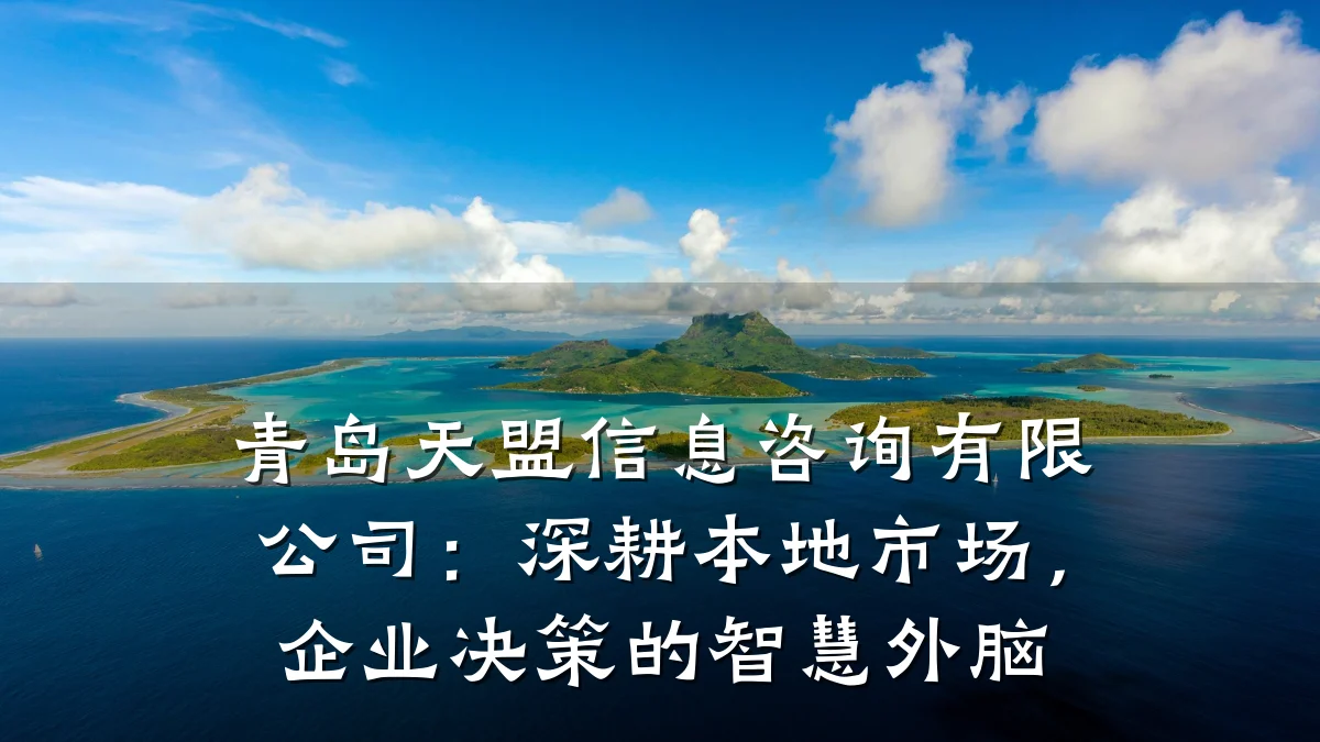 青岛天盟信息咨询有限公司：深耕本地市场，企业决策的智慧外脑