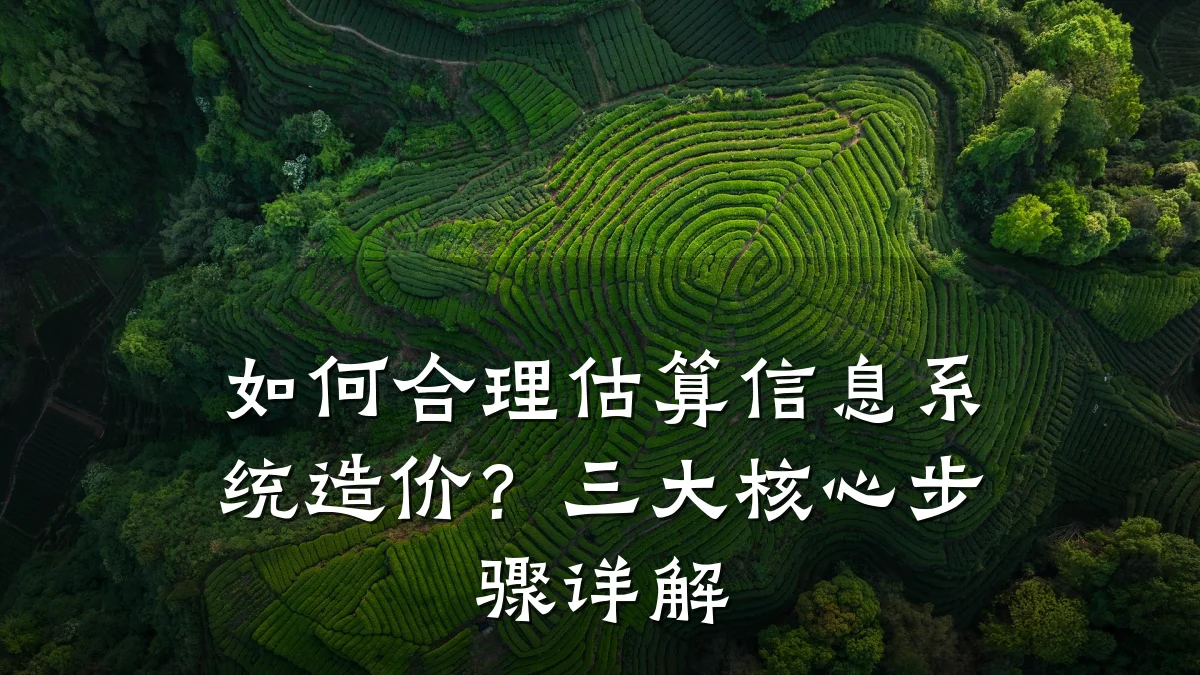如何合理估算信息系统造价？三大核心步骤详解