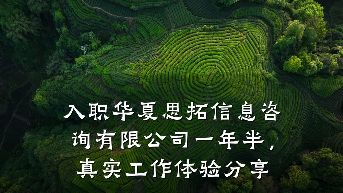 入职华夏思拓信息咨询有限公司一年半，真实工作体验分享