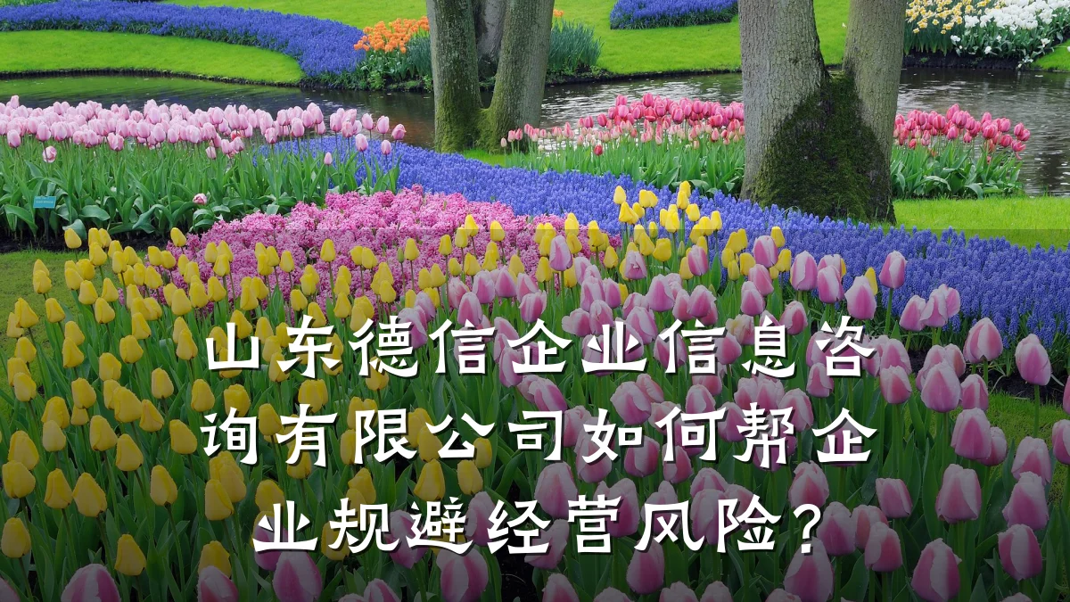山东德信企业信息咨询有限公司如何帮企业规避经营风险？